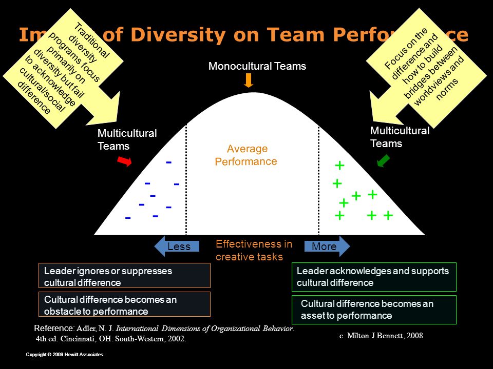 A report on diversity impacts on organizations